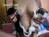 [ Zoo Sex ] Puppies engulf on tits